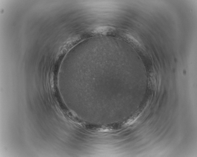 X0000070410504200606161414