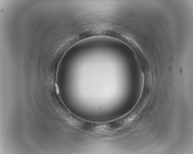 X0000070410505200606161414