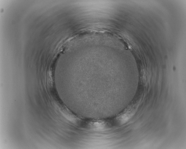 X0000070410506200606161414