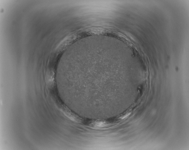 X0000070410507200606161414