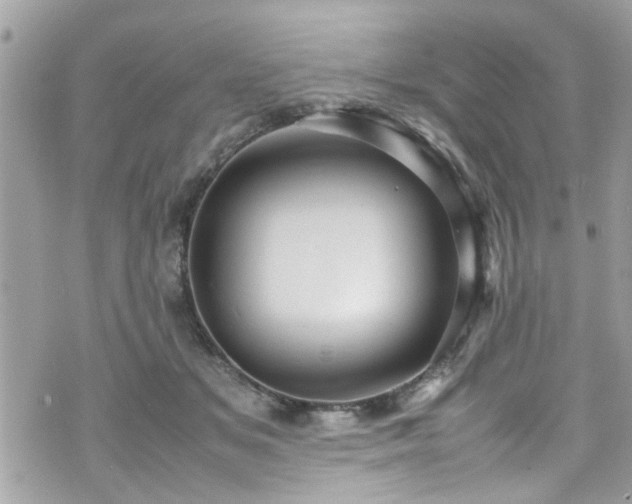 X0000070410509200606161414