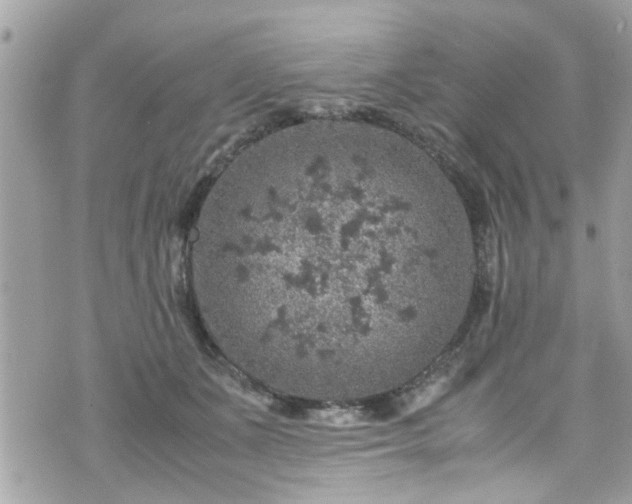 X0000070410511200606161414