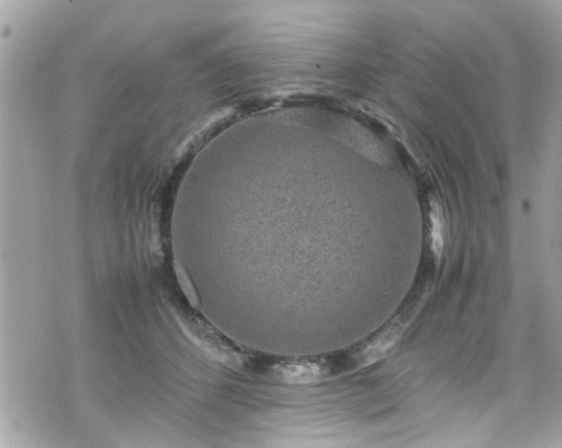 X0000070410512200606161414