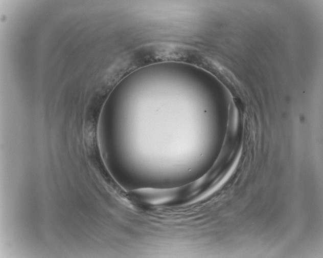 X0000070410513200606161414