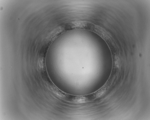 X0000070410514200606161414