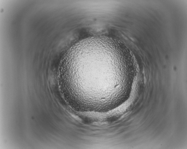 X0000070410515200606161414