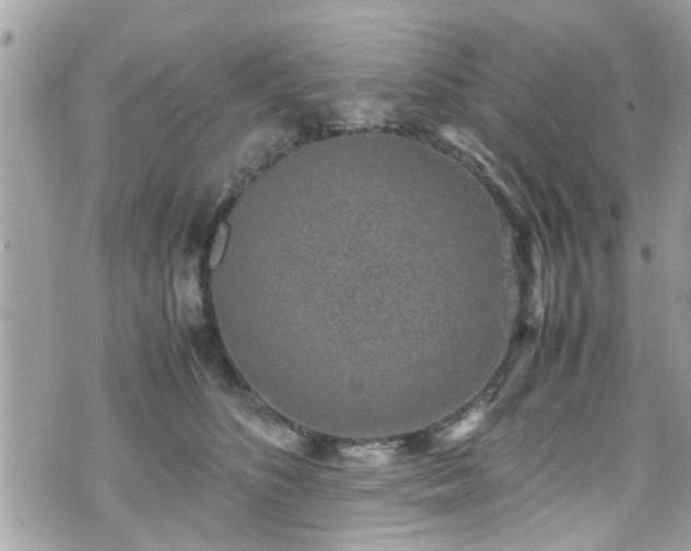 X0000070410516200606161414