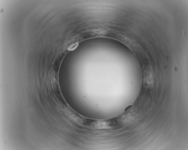 X0000070410518200606161414