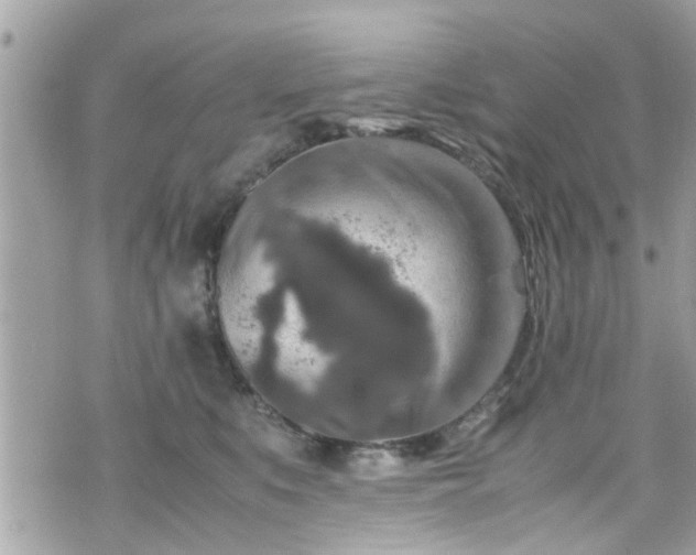 X0000070410519200606161414