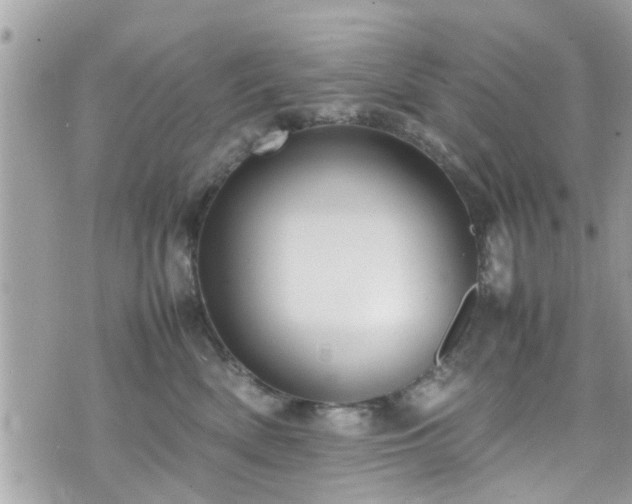 X0000070410522200606161414