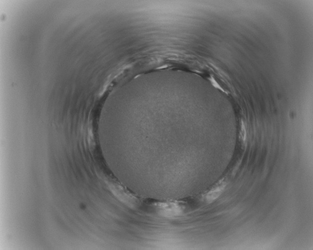 X0000070410524200606161414