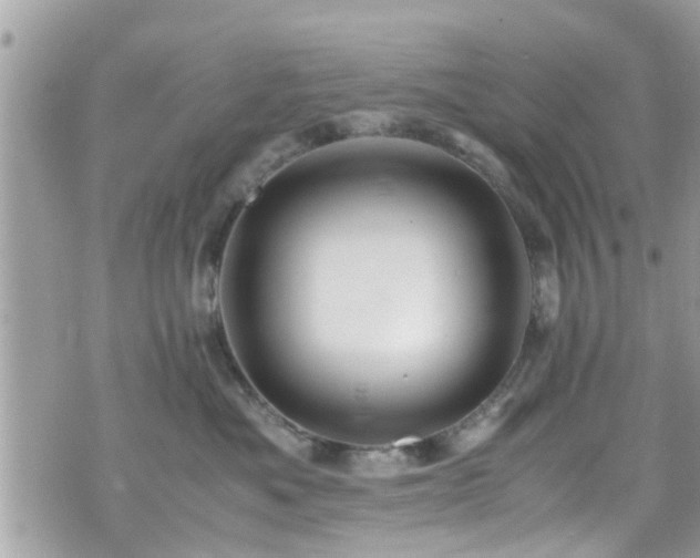 X0000070410525200606161414