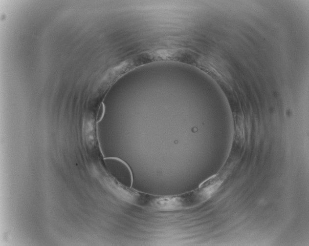 X0000070410526200606161414