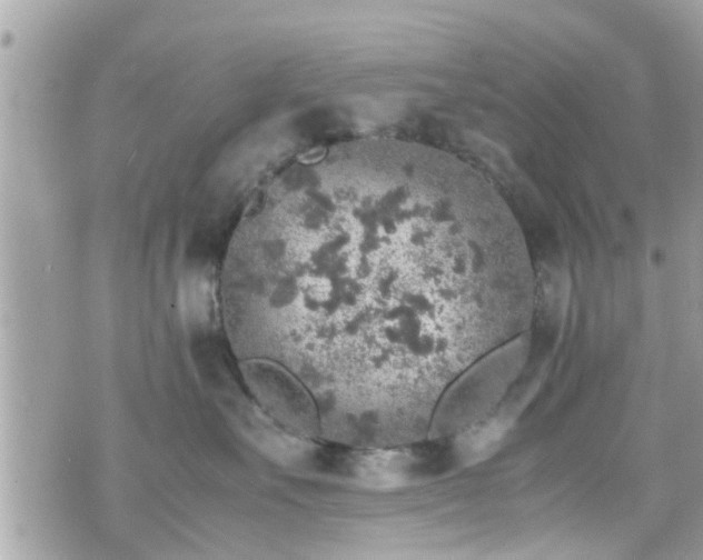 X0000070410527200606161414