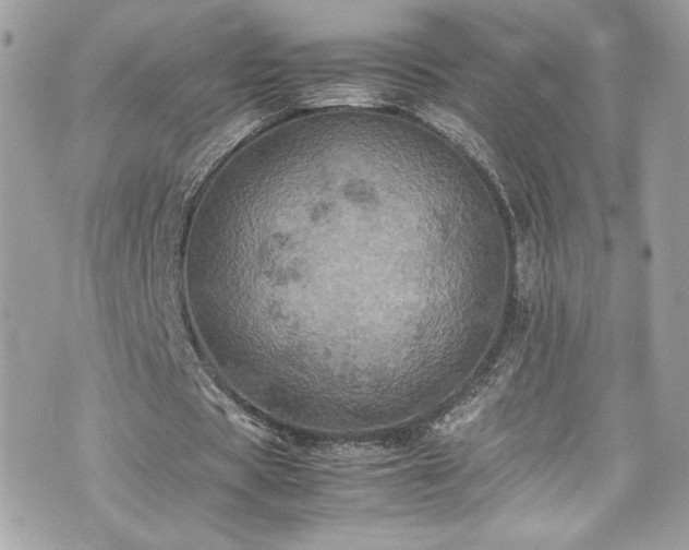 X0000070410529200606161413