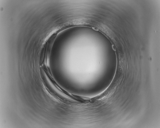 X0000070410530200606161413