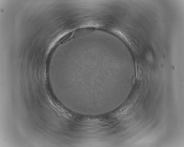 X0000070410531200606161413