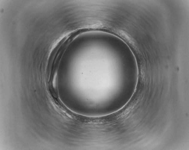 X0000070410532200606161413