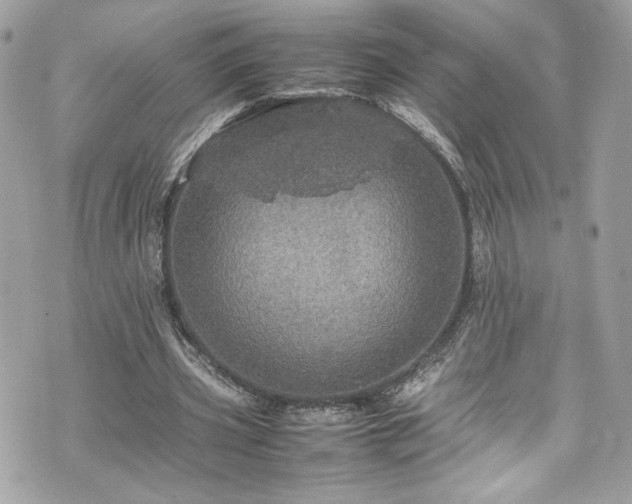 X0000070410533200606161413