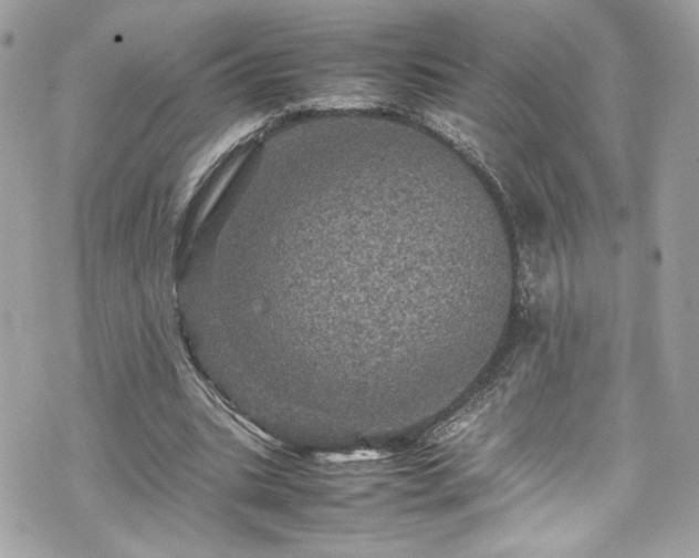 X0000070410535200606161413