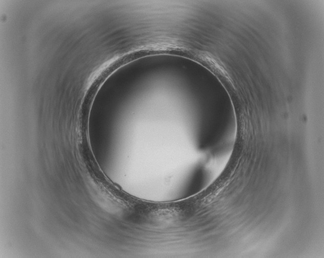 X0000070410536200606161413