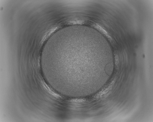 X0000070410537200606161413