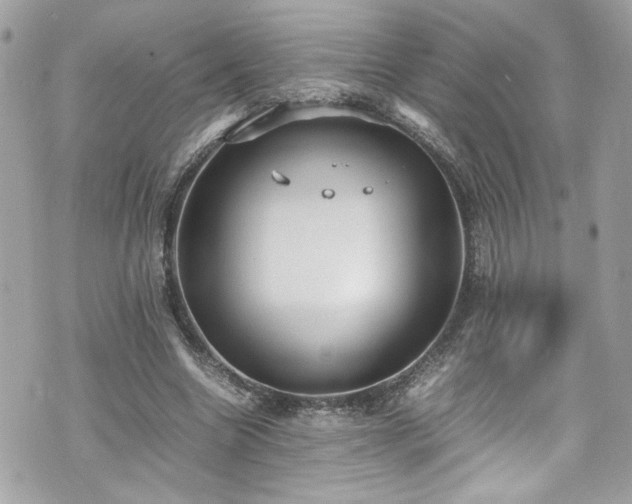 X0000070410538200606161413