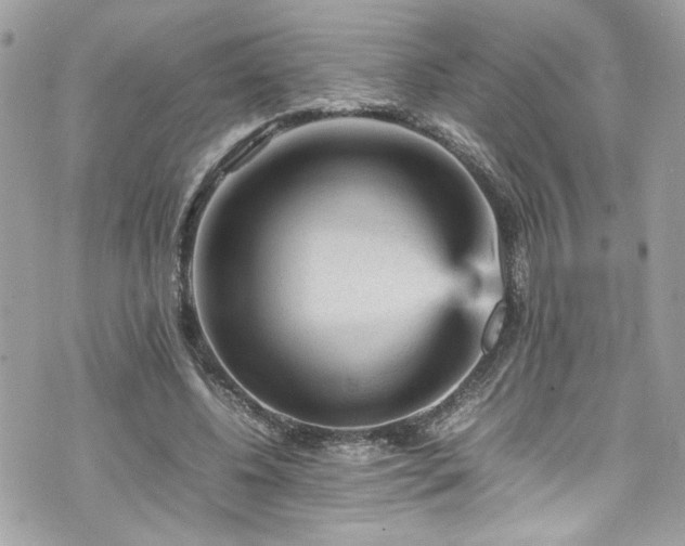 X0000070410540200606161413