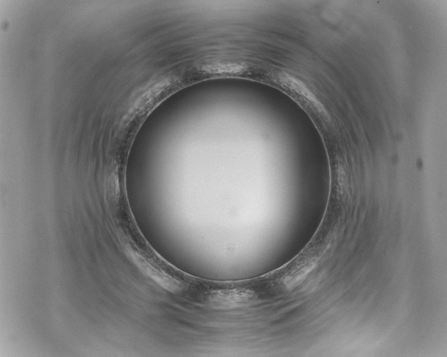 X0000070410541200606161413