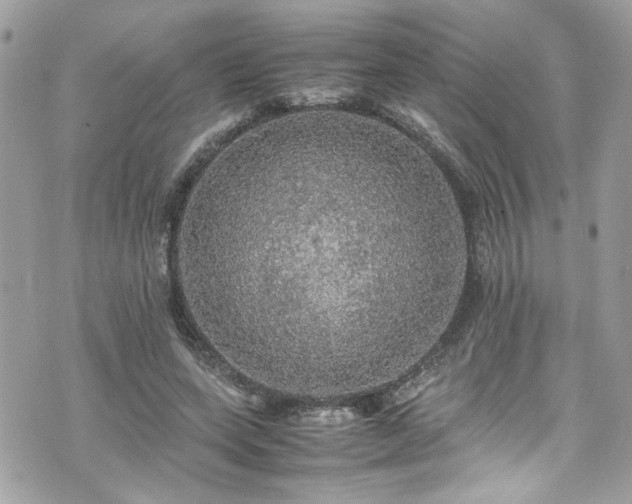 X0000070410543200606161414