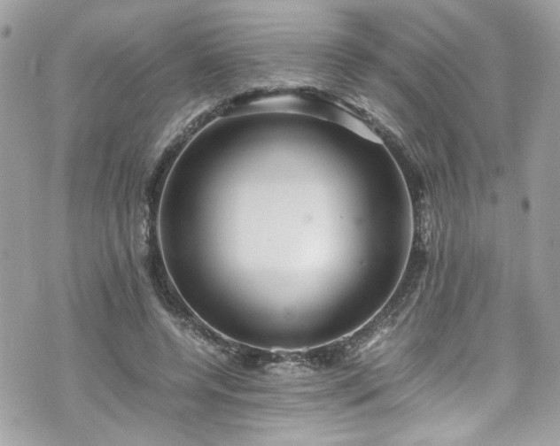 X0000070410544200606161414