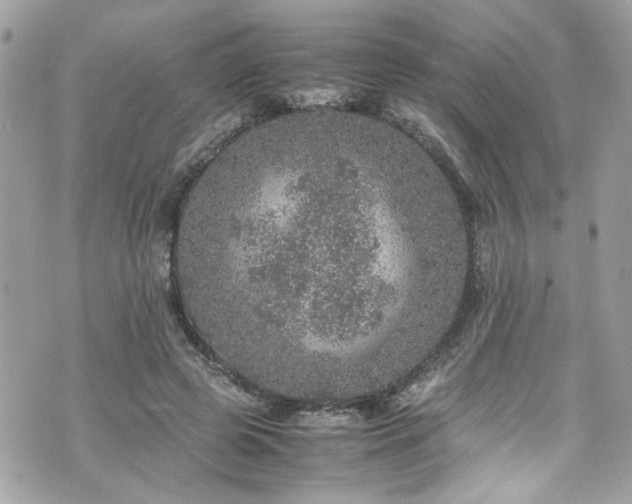 X0000070410545200606161414