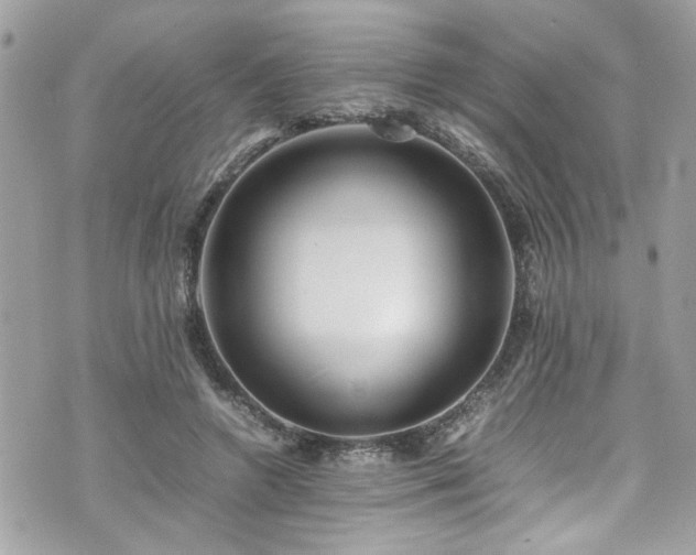 X0000070410546200606161414