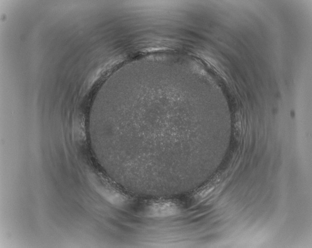 X0000070410547200606161414