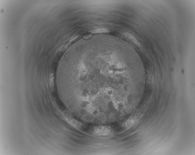 X0000070410549200606161414