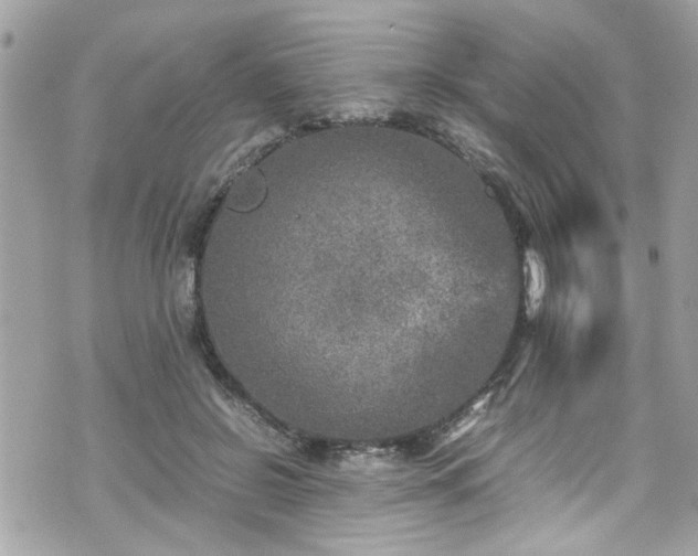 X0000070410550200606161414