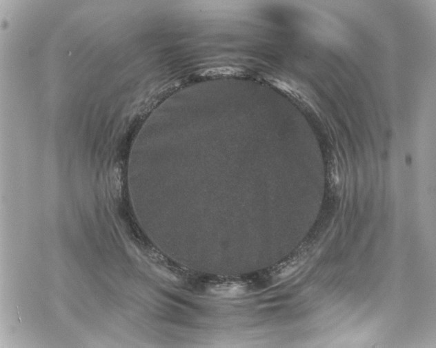 X0000070410551200606161414