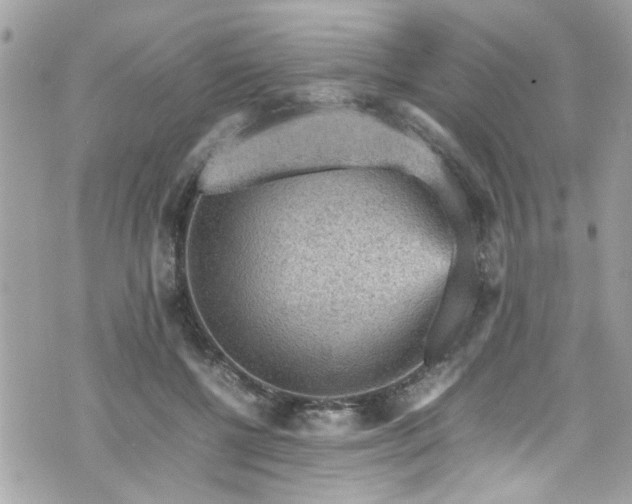 X0000070410552200606161414