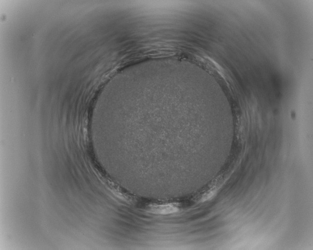 X0000070410553200606161414