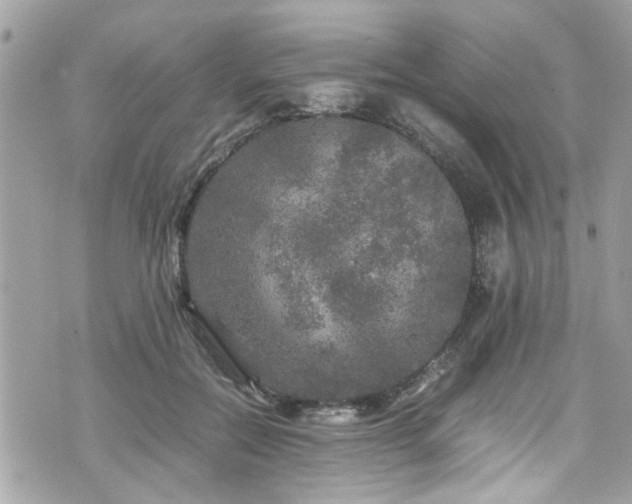 X0000070410554200606161414