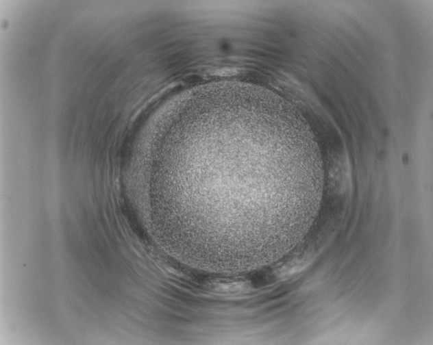 X0000070410555200606161414