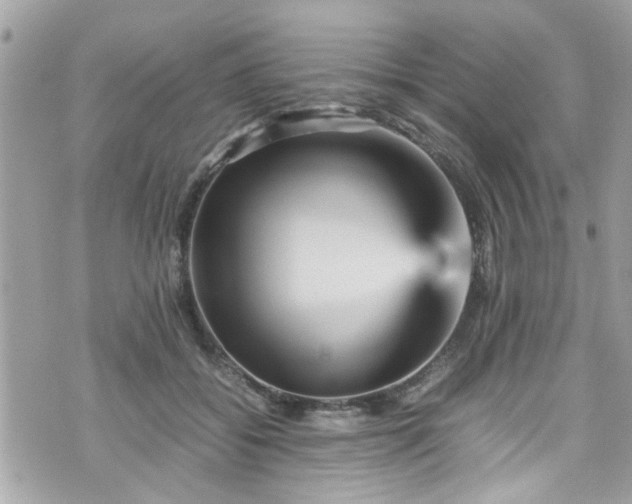 X0000070410556200606161414