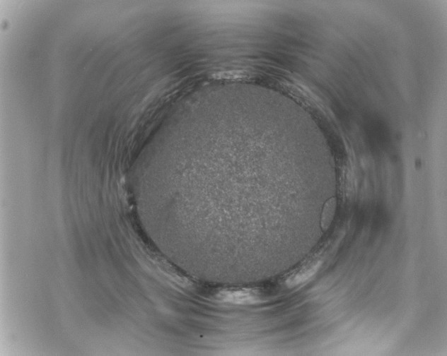 X0000070410557200606161414