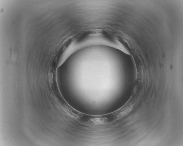 X0000070410558200606161414