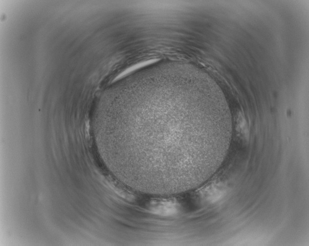 X0000070410559200606161414