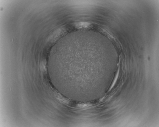 X0000070410561200606161414