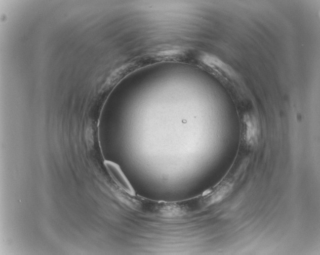 X0000070410562200606161414