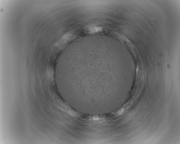 X0000070410565200606161414