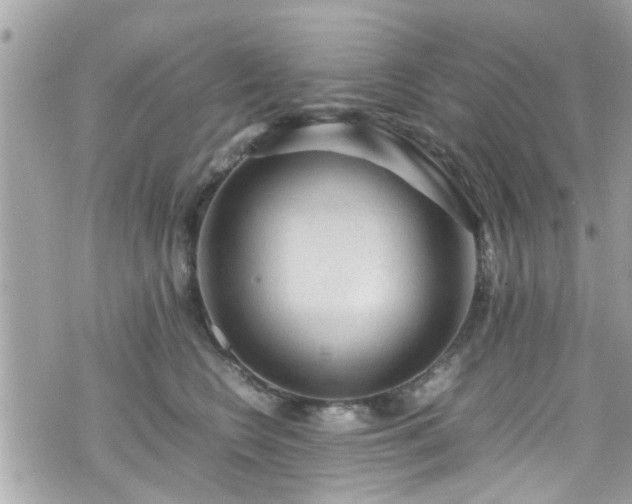 X0000070410566200606161414