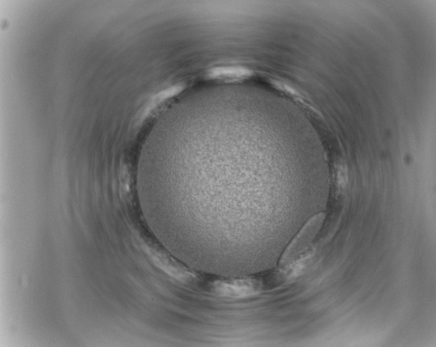 X0000070410567200606161414